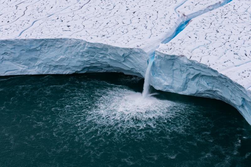  - Omega x Yann-Arthus Bertrand | Photos du film Legacy